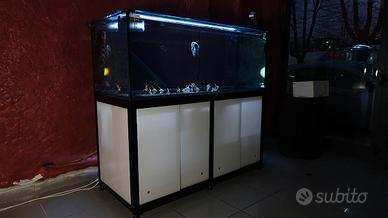 Acquario Discus 160x70x60h con mobile acciaio 90h