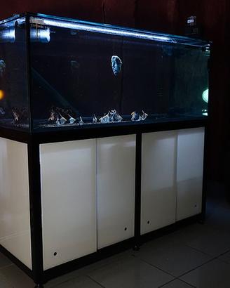 Acquario Discus 160x70x60h con mobile acciaio 90h