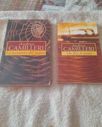 Coppie di libri.