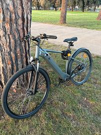 Bici elettrica sium