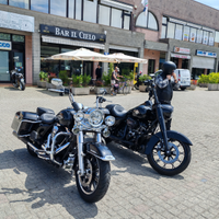 Harley Davidson Road King 103