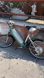 Bicicletta elettrica 