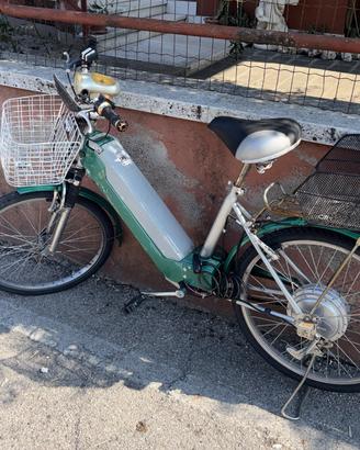 Bicicletta elettrica 