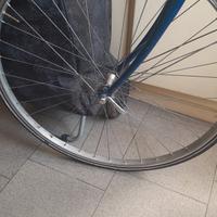 ruota bici da 28 completa