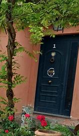 Portone in pvc colore verde scuro