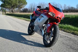 CAGIVA Mito SP525 (2014)  - PATENTE A1