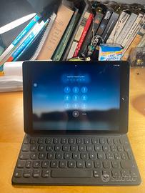 Apple case