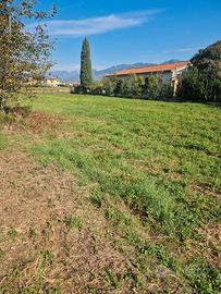 terreno agricolo  capezzano  circa 4500 mq