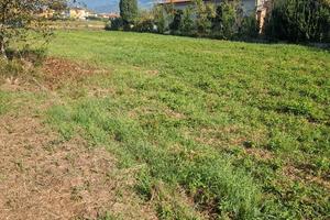 terreno agricolo  capezzano  circa 4500 mq