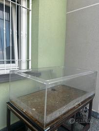 acquario