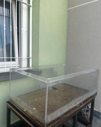 acquario