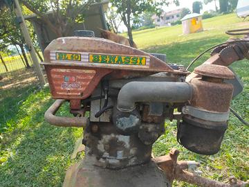 Motozappa Benassi BL60 