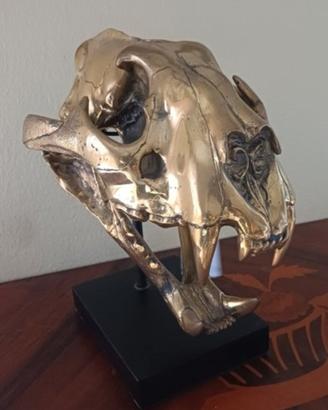 teschio di Tigre in bronzo firmata Jake Richmond