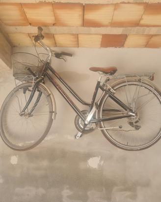 Bicicletta Donna Bianchi Rubino – Bici da città co
