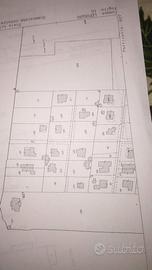 Villa da ristrutturare 400 mq con uliveto