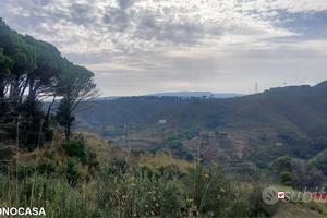 Castanea, terreno con rudere