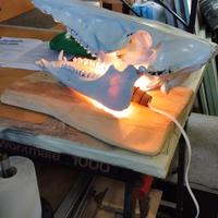lampada artigianale teschio cinghiale 