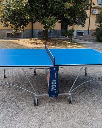 Tavolo da PINGPONG 