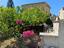 Immagine 17