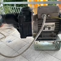 Elettropompa originale Jacuzzi