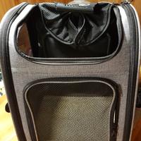 zaino trolley per cane o gatto