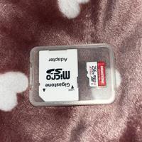 Micro SD Gigastone da 256 GB