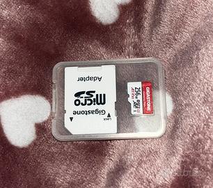 Micro SD Gigastone da 256 GB