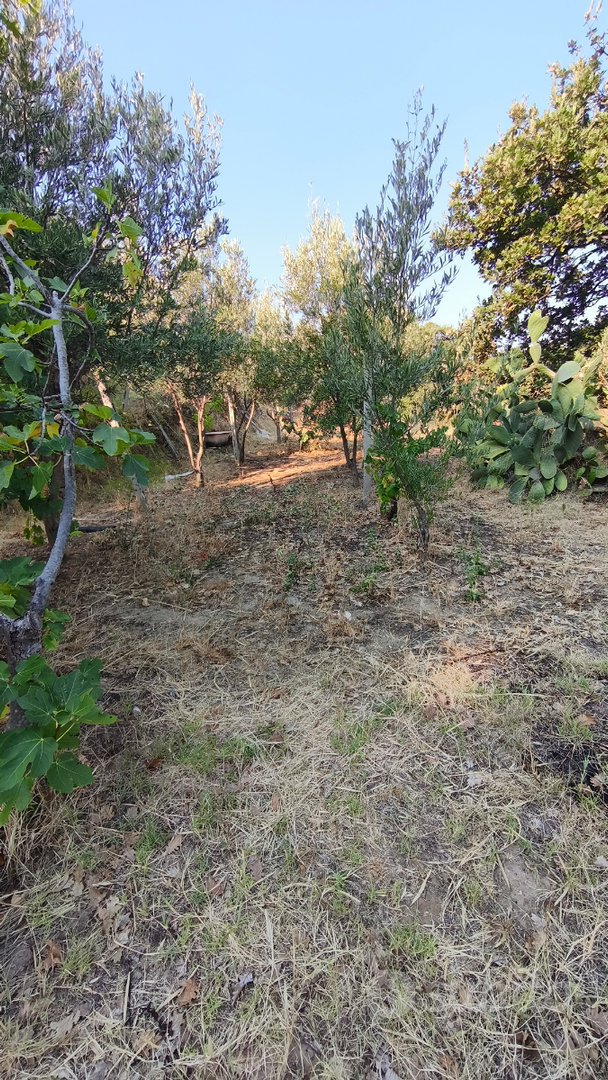 Terreno agricolo - Vista 6