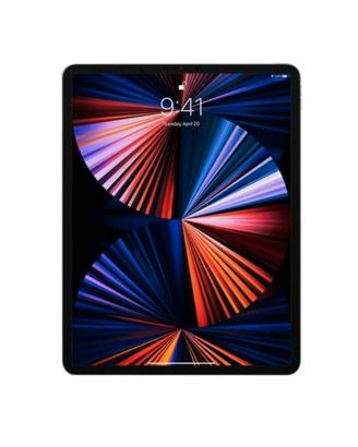 Ipad Pro  12.9 Serie M 256GB 