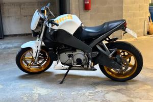 Buell xb12 lighnight