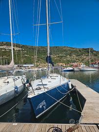 Barca a vela in alluminio