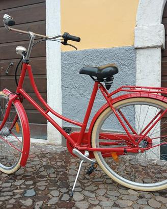 Bicicletta raggio 28