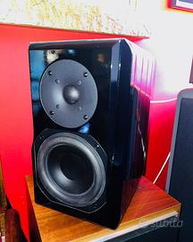 Chario Delphinus (versione  "Glossy Black)