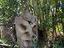 Immagine 26