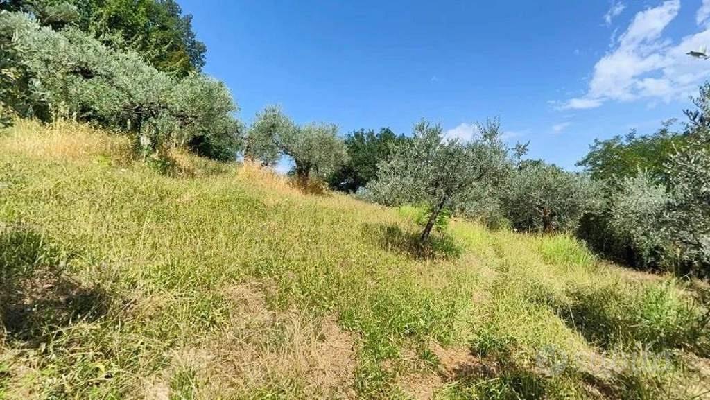 Immobile in asta di 290 m² a Montefalco - Vista 2