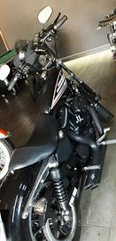 Harley-Davidson Sportster 883 - 2007