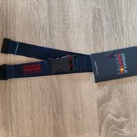 CORDINO RED BULL RACING F1