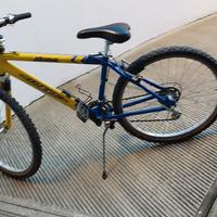 Mountain bike ruota 26 con 21 cambi