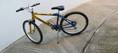 Mountain bike ruota 26 con 21 cambi