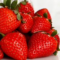 Collaborazioni/Lavoro