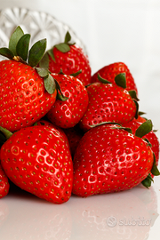 Collaborazioni/Lavoro