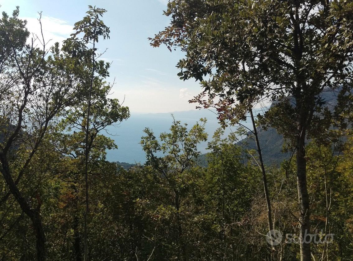 Maratea: terreno con progetto approvato - Vista 4