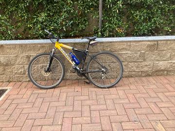 Bici mountain bike
