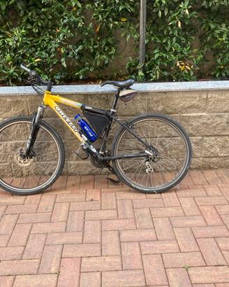 Bici mountain bike