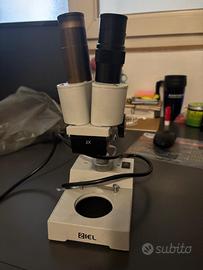 Microscopio stereoscopico