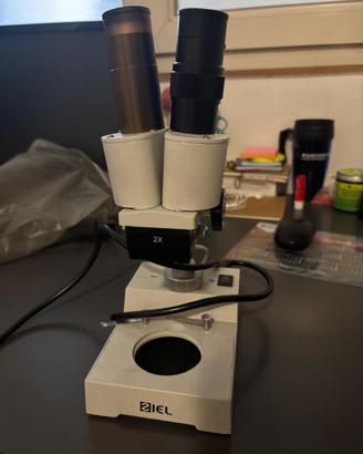 Microscopio stereoscopico