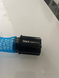Tacx corpetto campagnolo t2805.51(c)