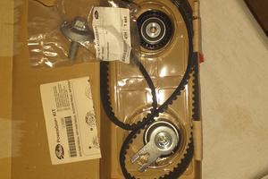 cinghia distribuzione k015587xs powergrip