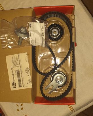 cinghia distribuzione k015587xs powergrip