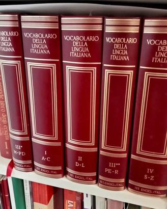 VOCABOLARIO LINGUA ITALIANA TRECCANI ORIGINALE